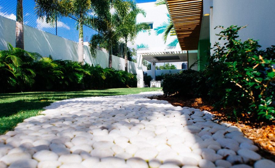 Copyrighted 2012  Pedro Farias-Nardi